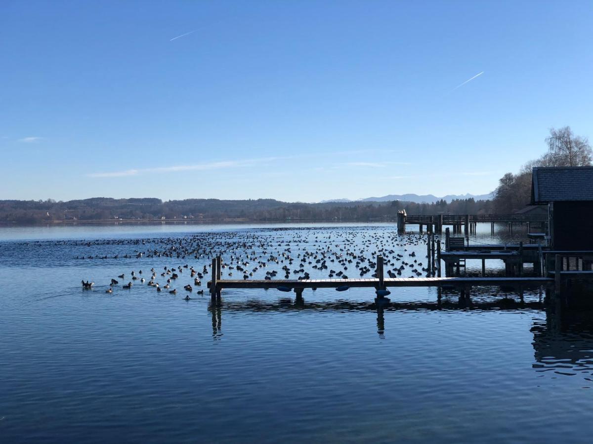 Ferienwohnung Am Starnberger See Зеесхаупт Екстериор снимка